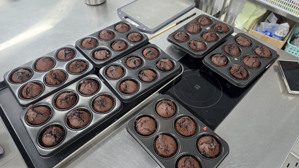 이미지 대체문구를 입력하세요